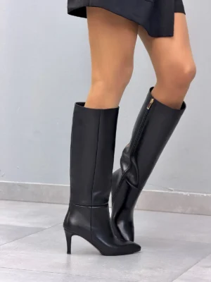 Ilgaauliai KUNIS
